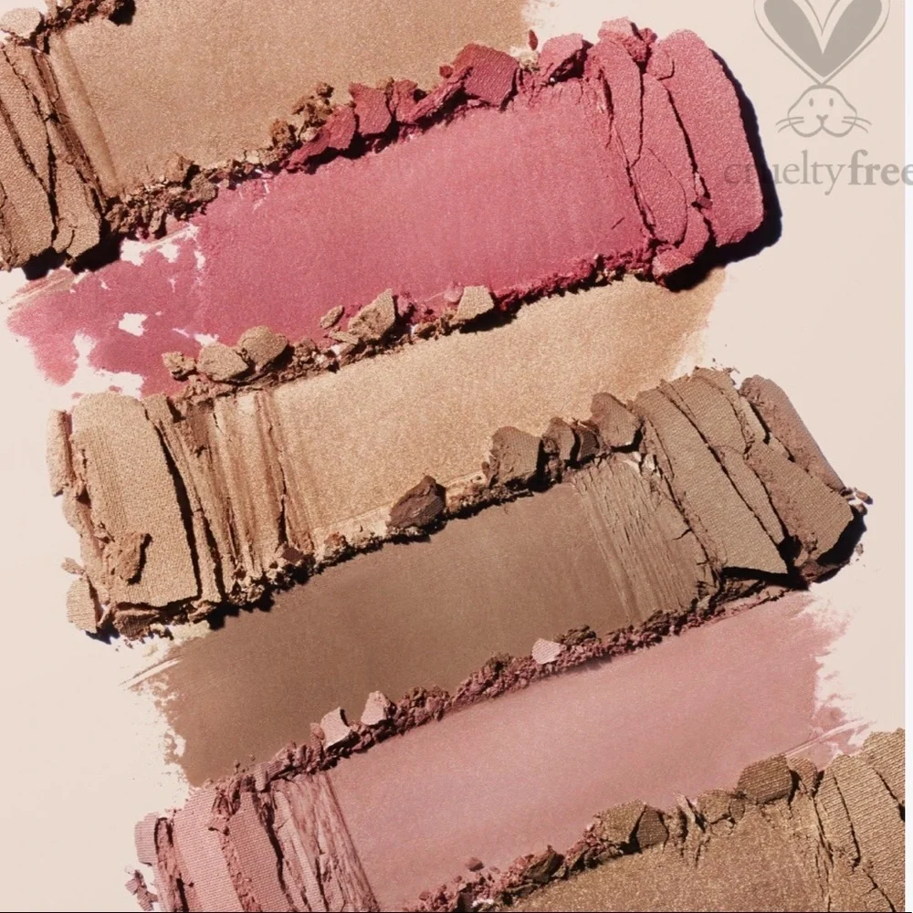 🌺 ICONIC LONDON BLAZE CHASER FACE PALETTE